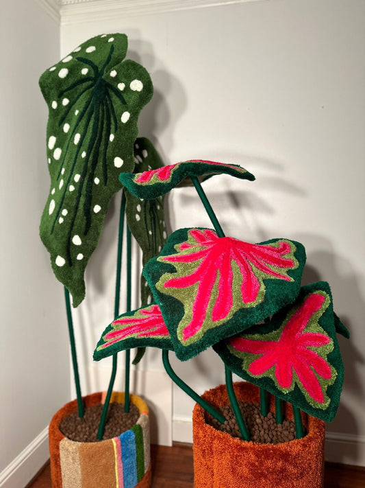 Medium or Large tufted begonia or caladium in planter - Goodtoknowyoushop