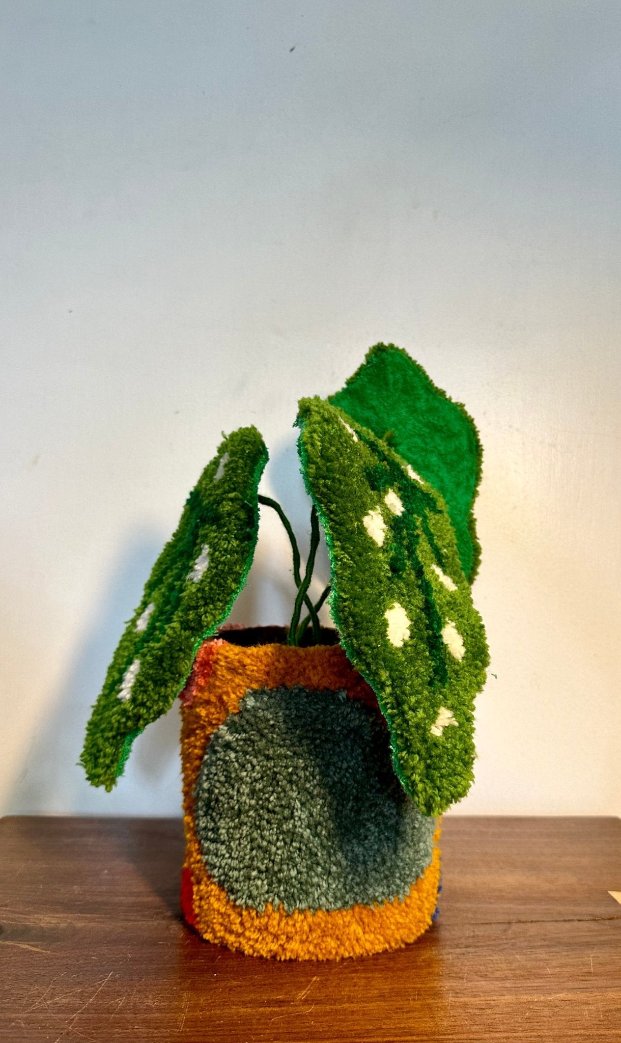 Small tufted begonia in planter - Goodtoknowyoushop