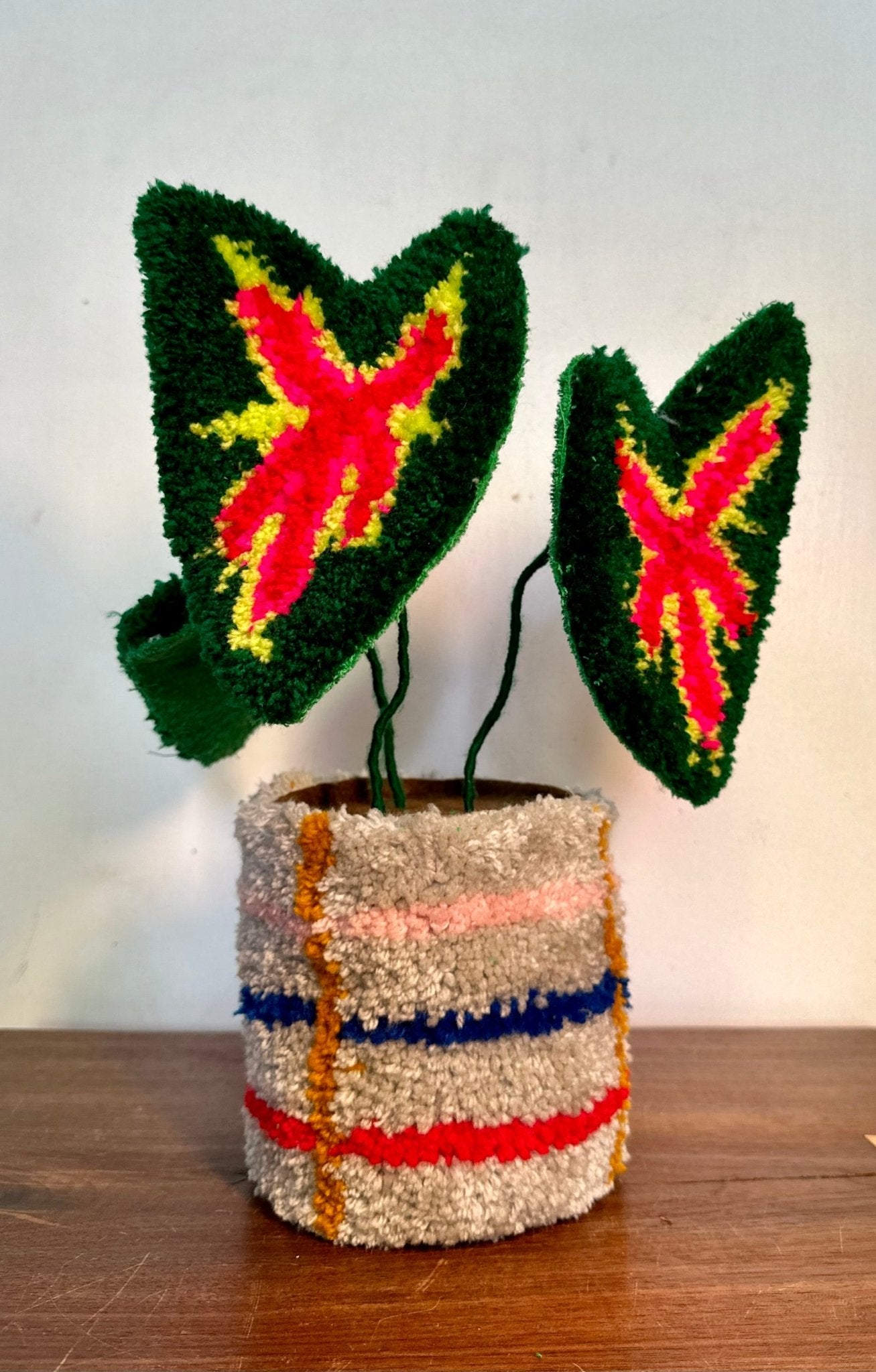 Small tufted begonia in planter - Goodtoknowyoushop