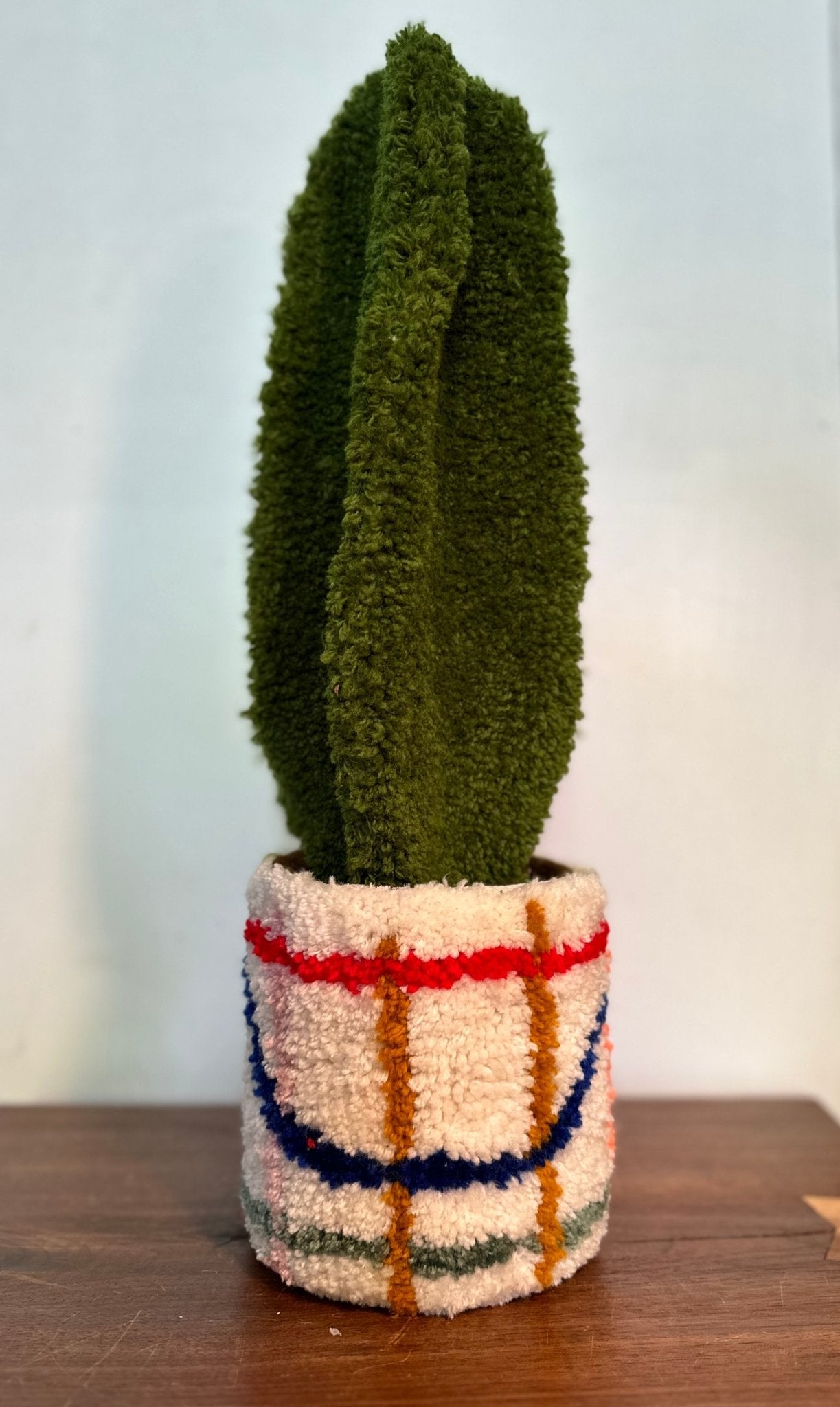 Small tufted begonia in planter - Goodtoknowyoushop