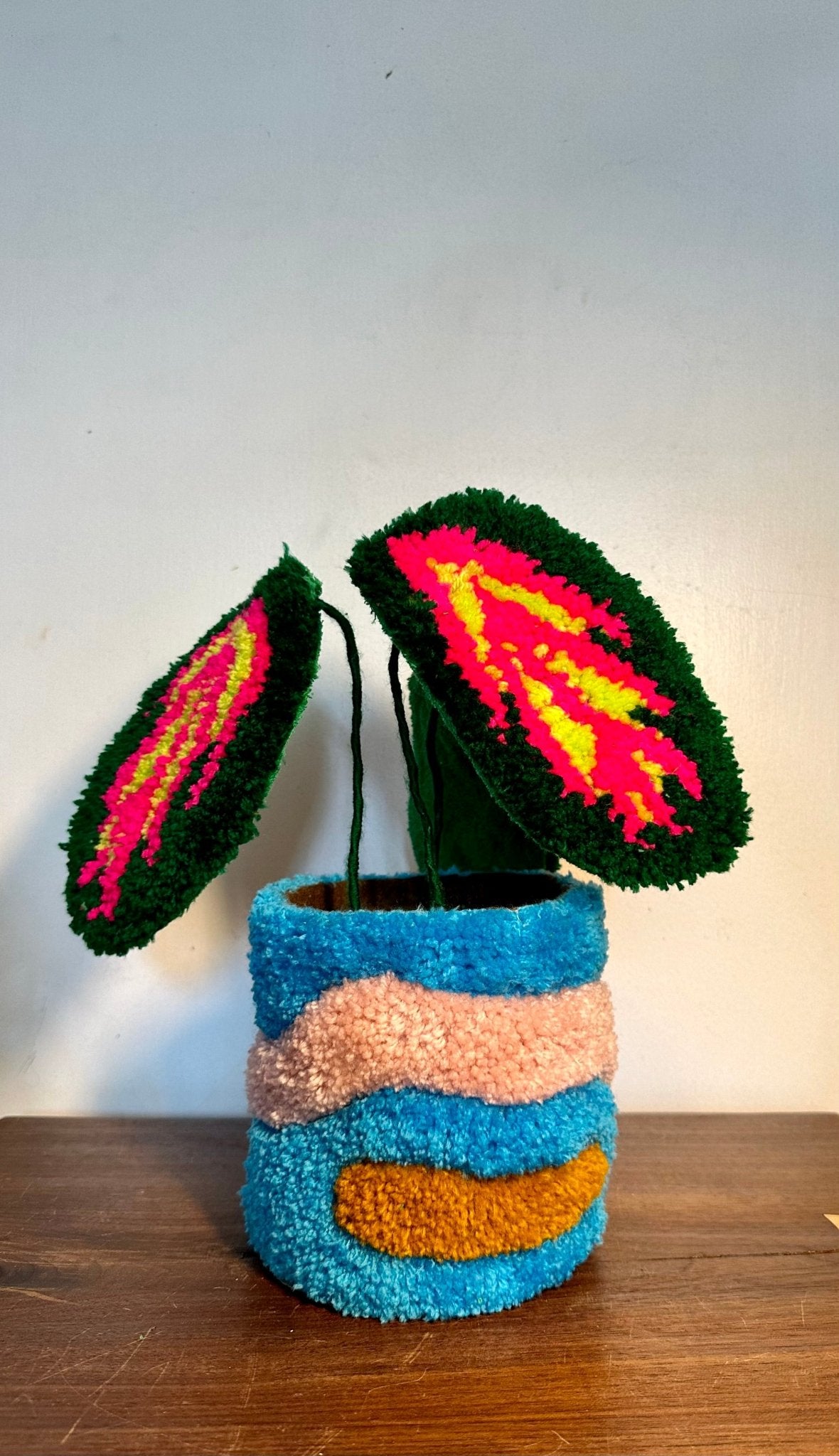 Small tufted begonia in planter - Goodtoknowyoushop