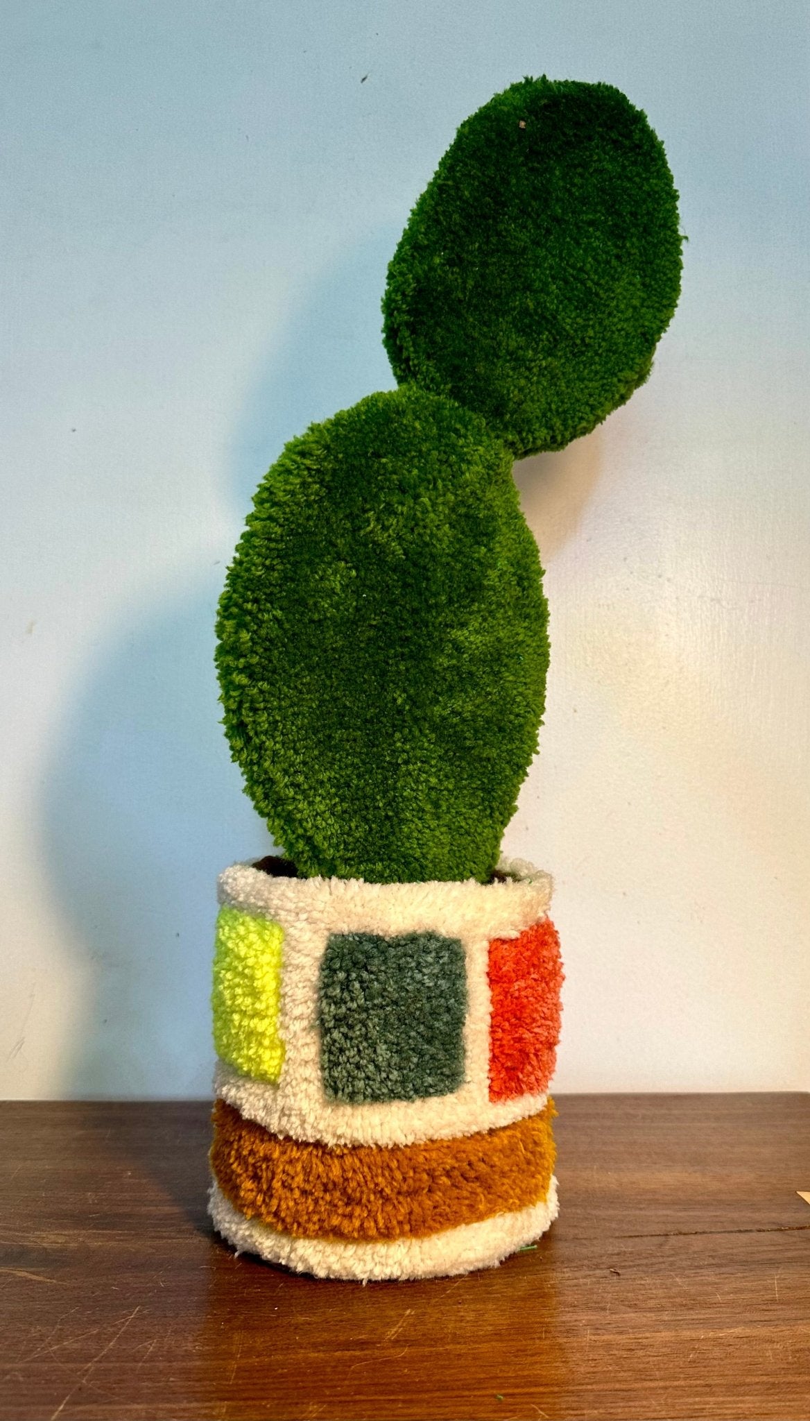 Small tufted begonia in planter - Goodtoknowyoushop