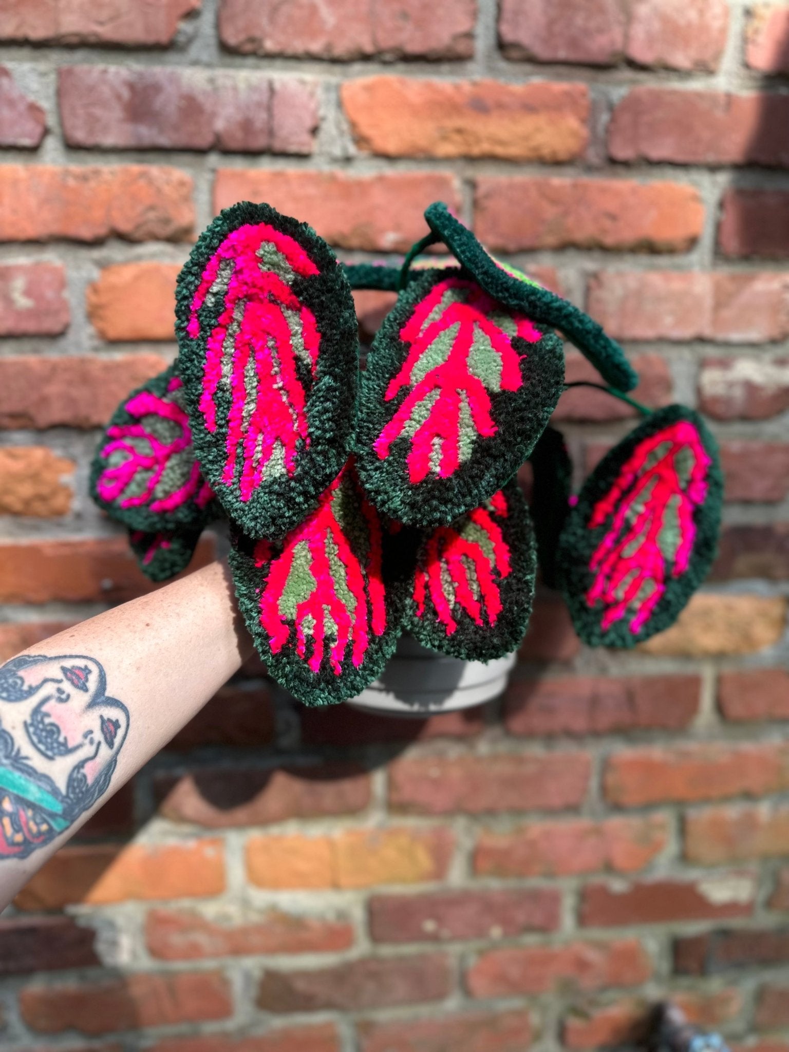 prayer plant tattoo tufted prayer plant preorder – Goodtoknowyoushop