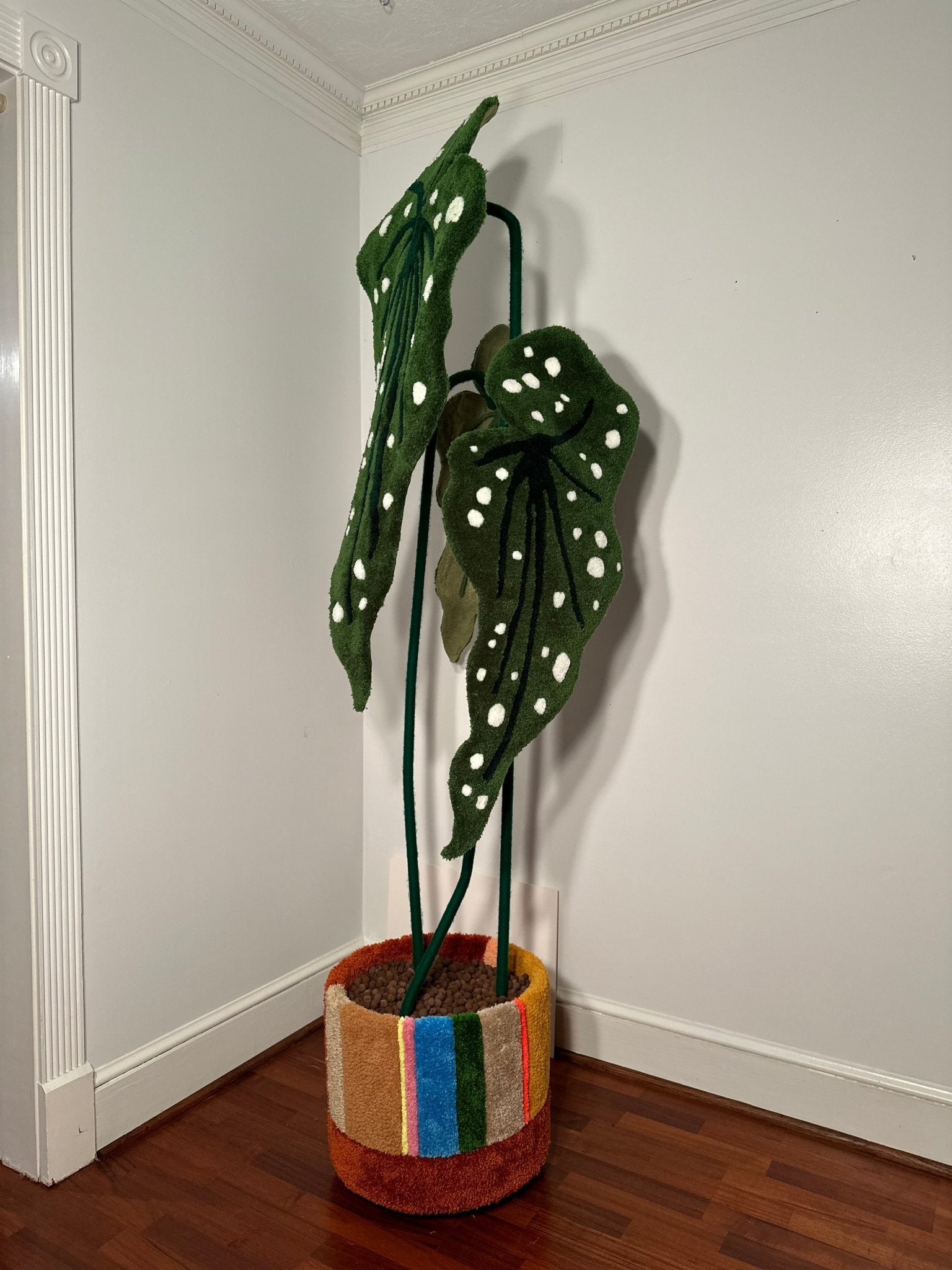 Medium or Large tufted begonia or caladium in planter - Goodtoknowyoushop